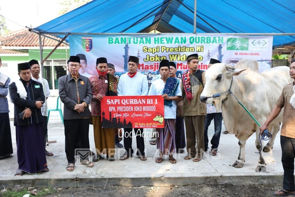 Arinal Serahkan Sapi Kurban dari Jokowi ke Jamaah Masjid Al-Mu'Minun Wayjepara