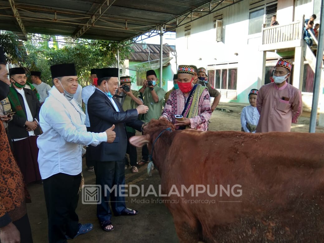 Shalat Ied di Masjid AT-Taqwa, Wabup Mad Hasnurin Serahkan Satu Ekor Sapi