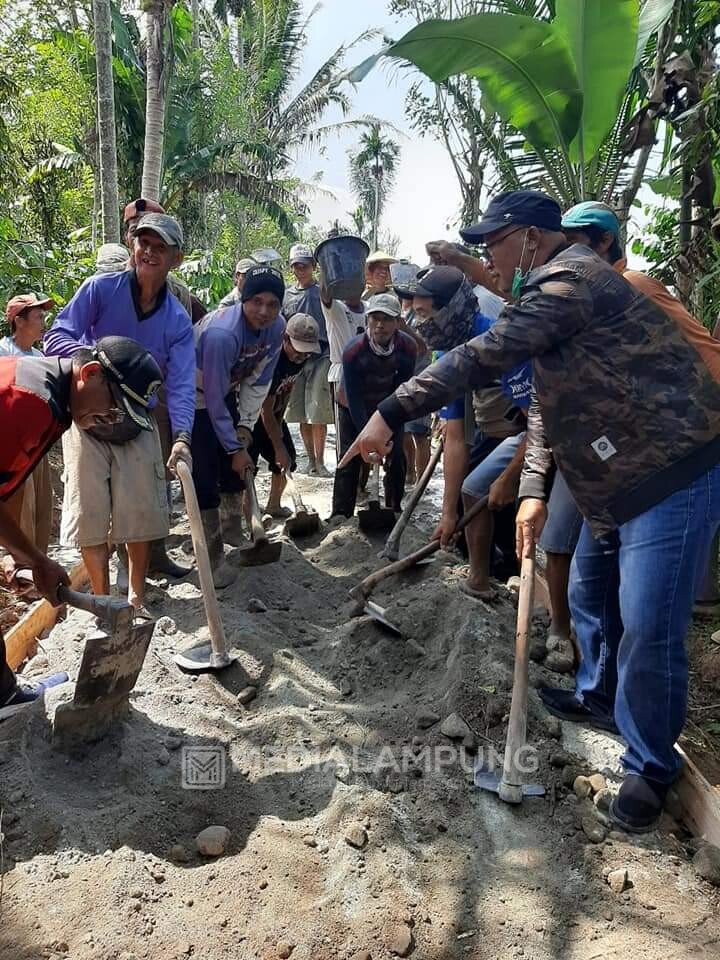 Reses di Suoh dan BNS, Mukhlis Basri Berqurban 1 Ekor Sapi, Beri Bantuan dan Ikuti Gotong-royong Bangun Jalan