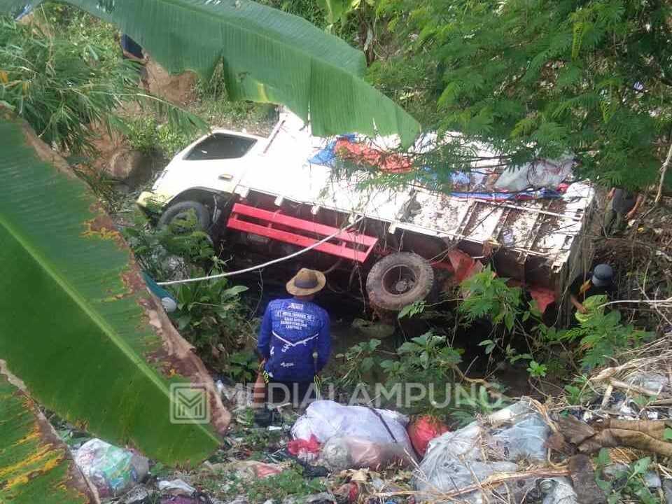 As Roda Patah, Truk Bermuatan Kopi Terjun ke Jurang