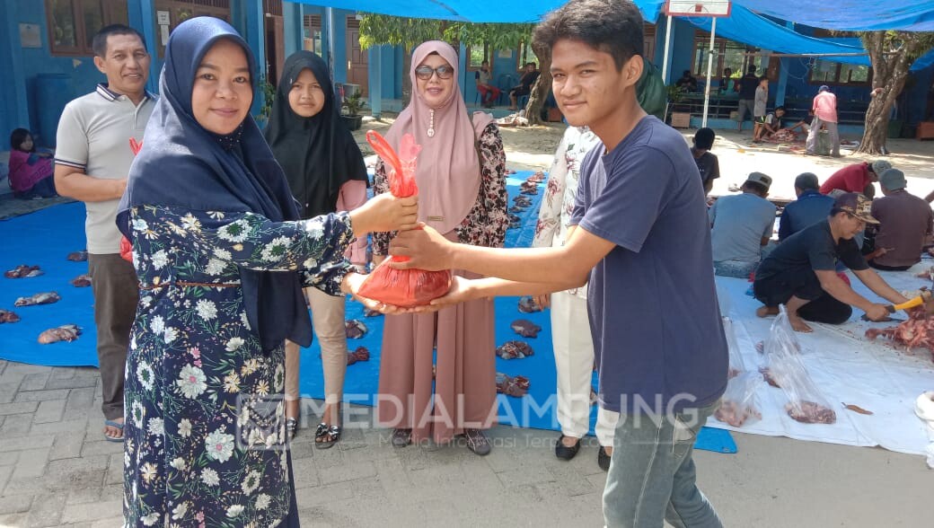 Hari Raya Idul Adha, SMPN 1 Krui Kurban Dua Ekor Sapi