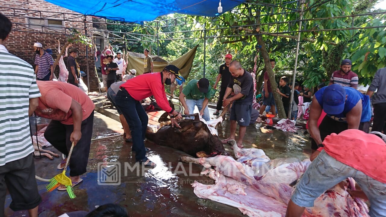 Lurah Langkapura-Camat Gelar Silaturahmi dan Tinjau Penyembelihan Hewan Kurban  