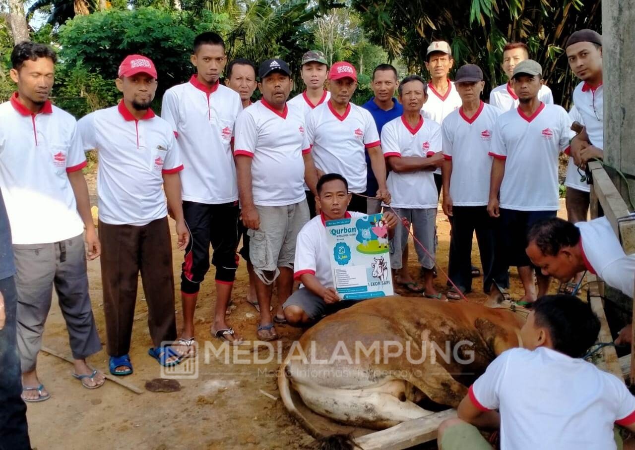 Muhammadiyah Lamteng Kurban 624 Ekor Sapi dan Kambing