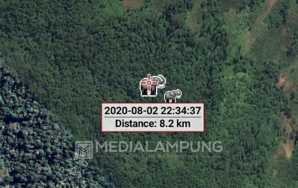 Terdeteksi Masih di Lokasi Awal, Kawanan Gajah Sempat Rusak Gubuk Warga