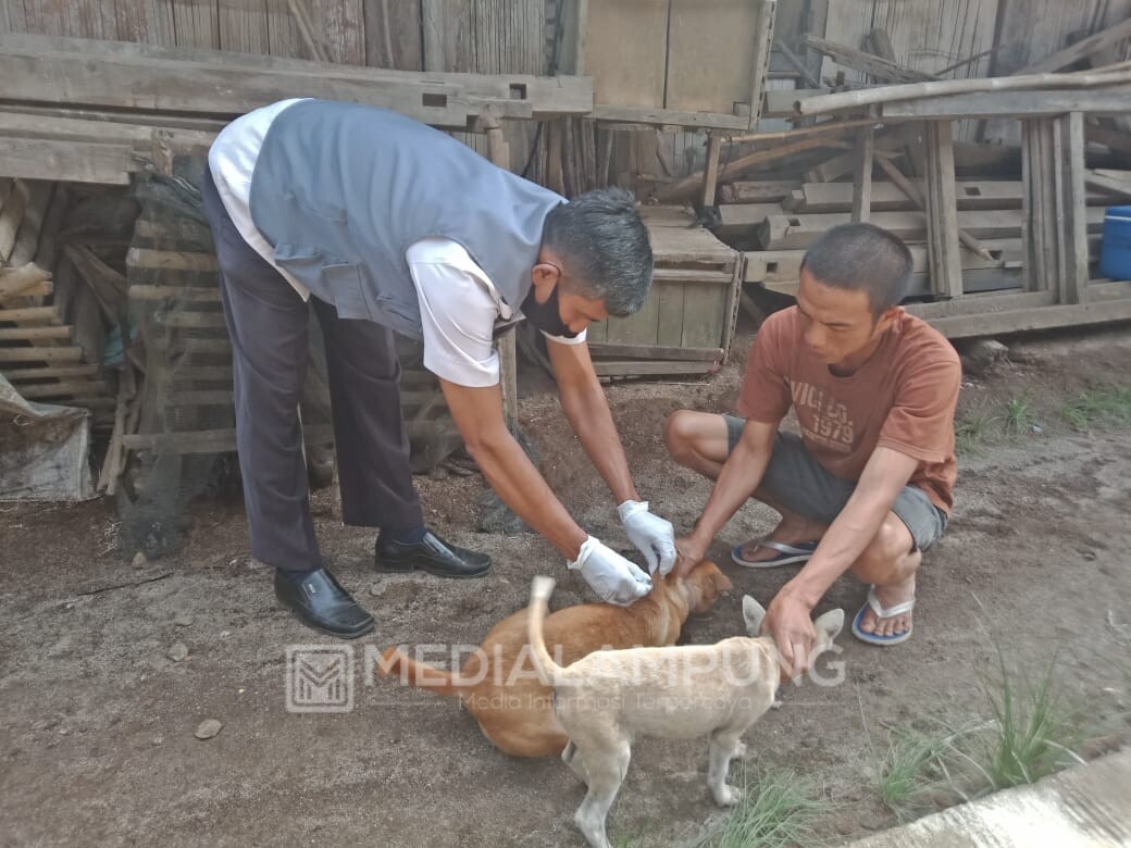 Disbunnak Lambar Vaksin Puluhan HPR 