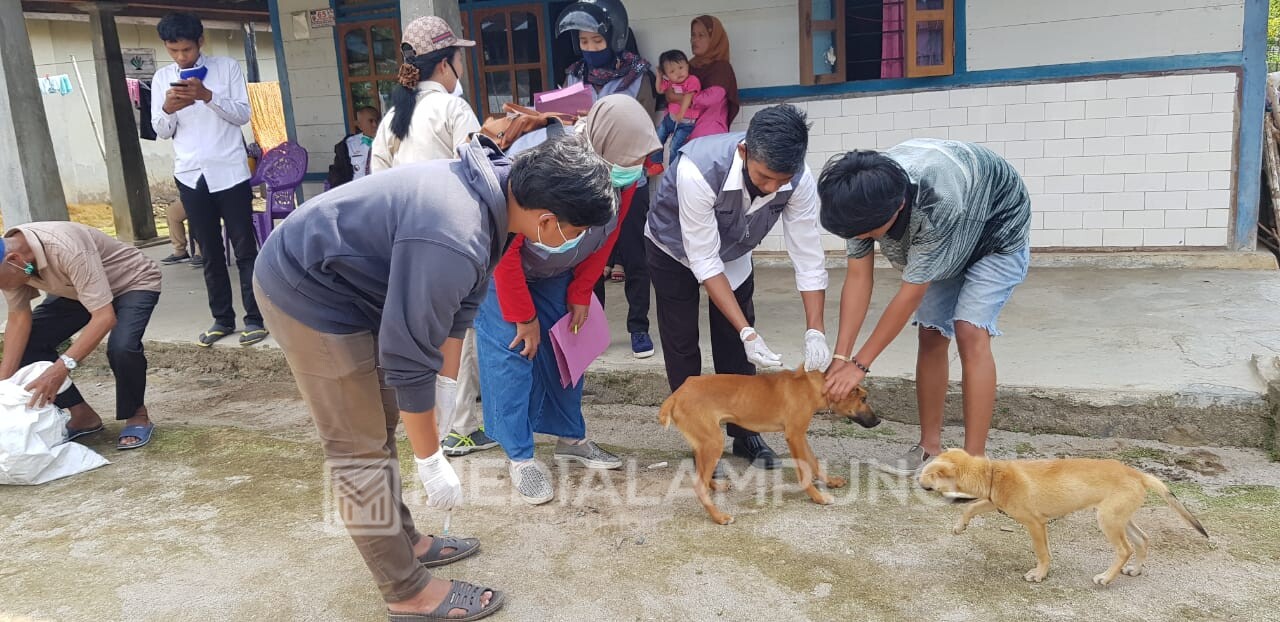 Disbunnak Lambar Gelar Pengobatan Massal dan Vaksinasi Secara Gratis