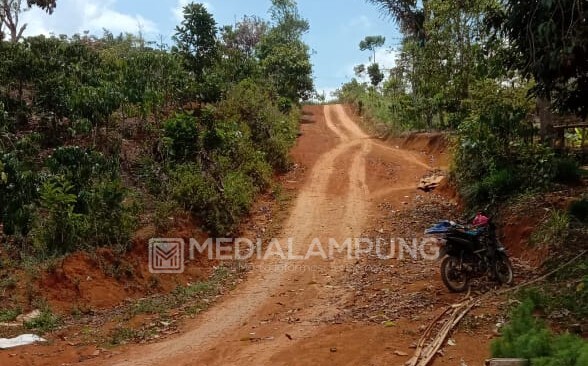 Warga Tunggu Perhatian Pemerintah, Jalan Utama Pekon Sidodadi Butuh Pembangunan