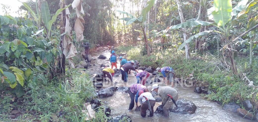 Masyarakat Pekon Trimulyo Gelar Bakti Bumi Bersihkan DAS Air Dingin