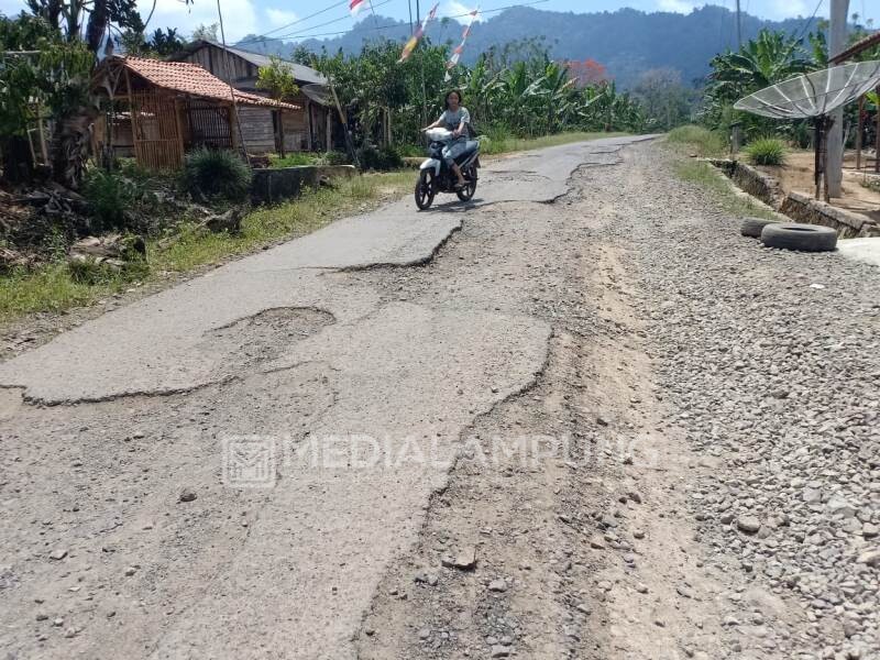 Pemkab Lambar Segera Patching Ruas Jalan Mutaralam-Bungin 