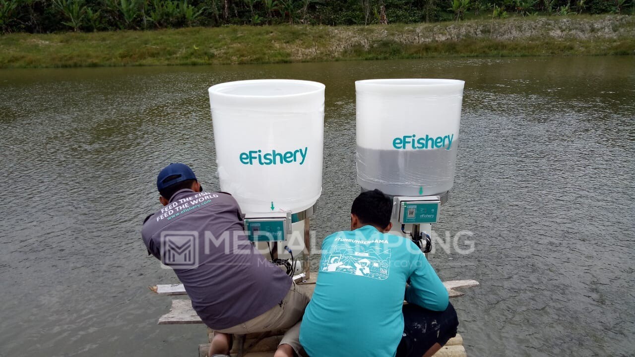 eFishery Tawarkan Program Smart Feeder dan eFishery Fund