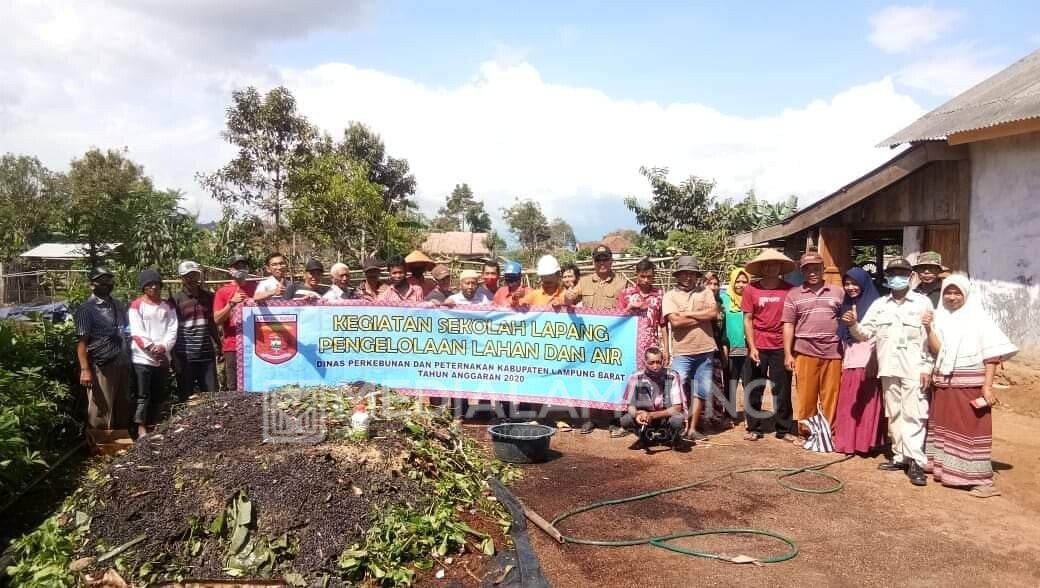 Dukung Kabupaten Konservasi, Disbunak Lambar Laksanakan SL-PLA 