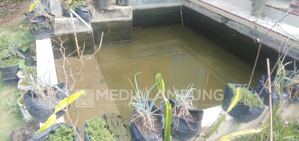 Tercebur Kolam Saat Ibunya Masak, Bocah 1,5 Tahun Meninggal Dunia