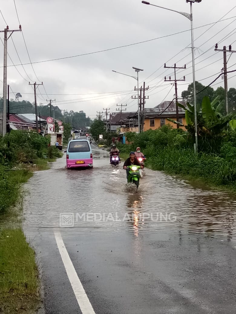 Tak Kunjung Ditangani, Banjir Sudah Jadi Pemandangan Biasa di Jalan Nasional