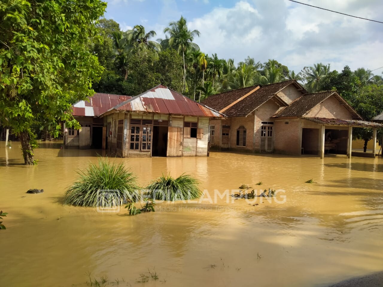 Ratusan Rumah Rusak Akibat Banjir Bandang di Semaka Tanggamus