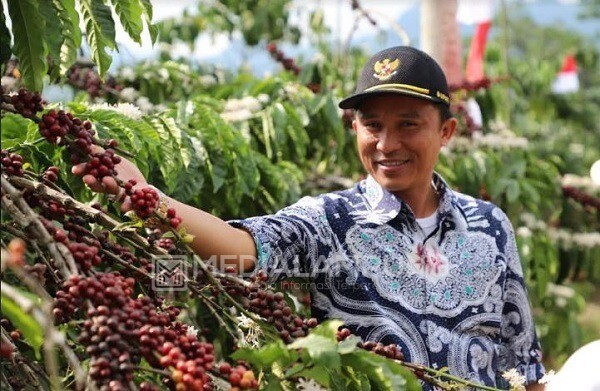 Tujuh Sampel Kopi Lambar Masuk Top 10 Pada Apresiasi Kopi Robusta II 2020