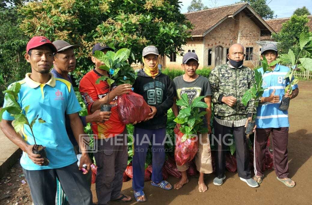 Disbunnak Salurkan 300 Ribu Bibit Tanaman Kopi-60 Ton Pupuk Organik