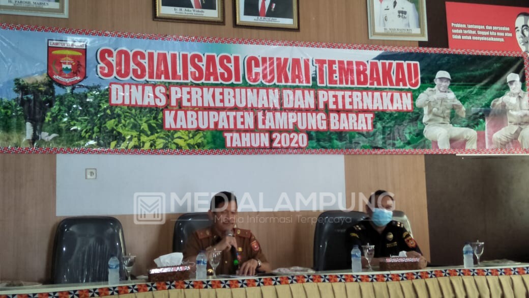 Tembakau Berikan Kontribusi Anggaran Bagi Kabupaten Lambar