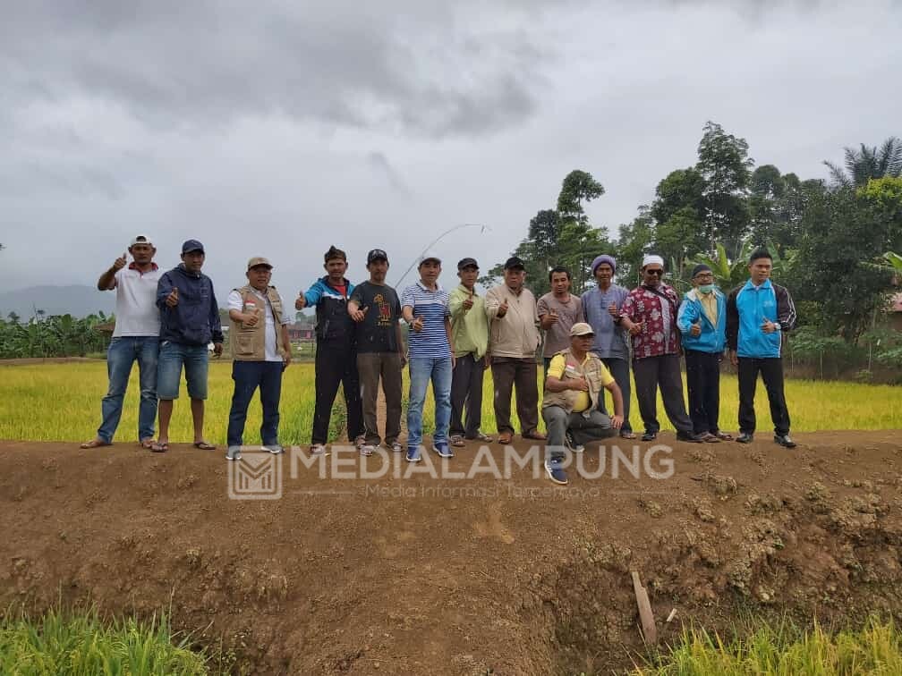 Reses di Purajaya, Aleg Lambar Tinjau Sawah