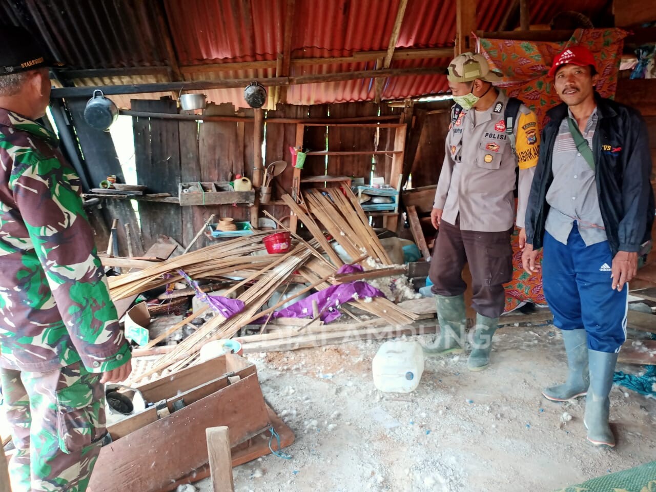 Konflik Gajah-Manusia di Lambar ‘Meledak’ Lagi, 50 Rumah dan Gubuk Dirusak, Puluhan KK Terpaksa Mengungsi
