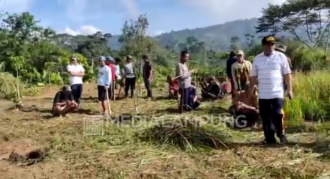 Pekon Sumberalam Buka Lahan Program Pangan Mandiri