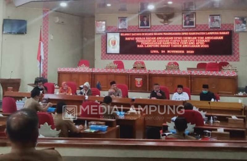 Banang DPRD Lambar Minta DPMP Jelaskan Soal Dana Rp520 Juta