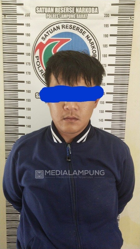 Pesan Tembakau Gorila Via Jasa Pengiriman Barang, Pelaku Berhasil Ditangkap