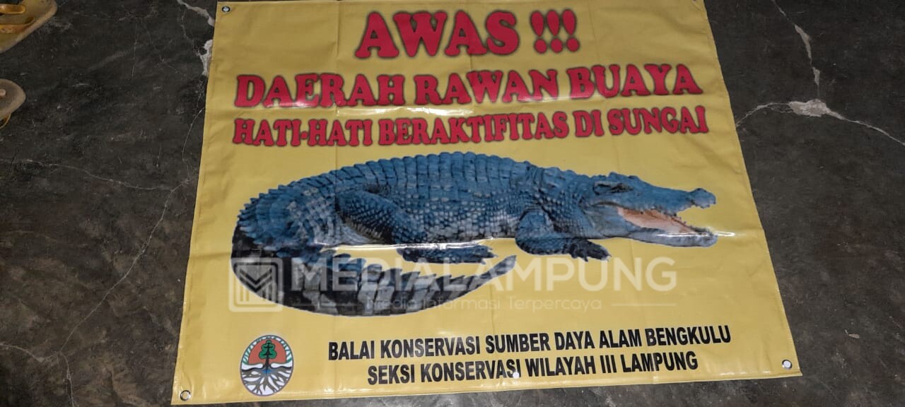 BKSDAE Cuma Pasang Banner, Bukan Perangkap Buaya 