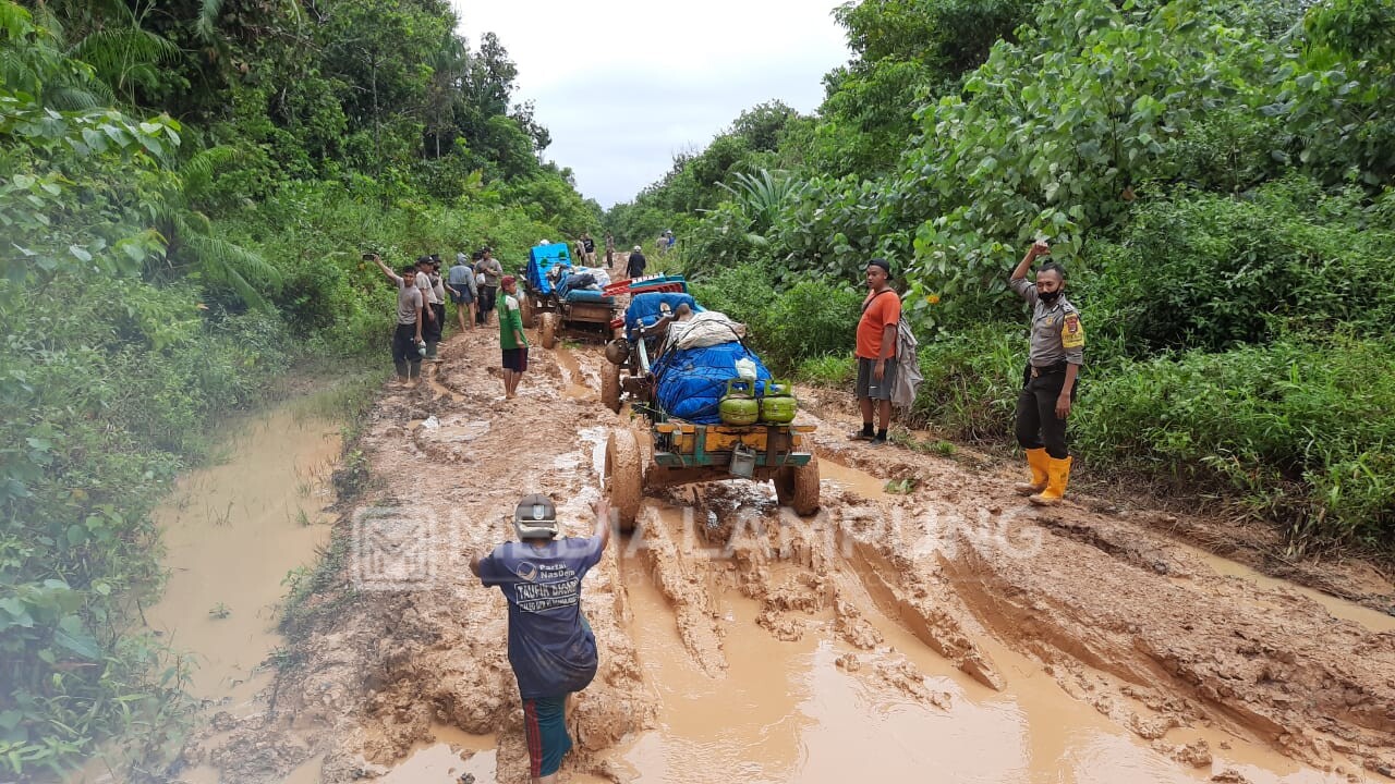 Gunakan Gerobak Sapi, Tempuh Perjalanan Hingga 11 Jam