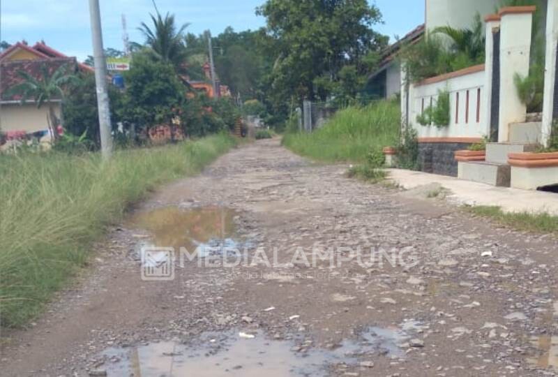 Jalan Rusak Parah, Warga Lingsuh Harapkan Perbaikan