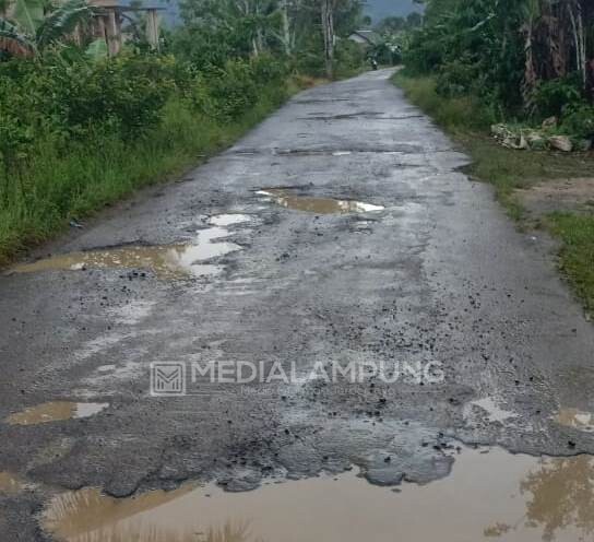 Dibangun 3 Tahun Lalu, Jalan Kabupaten Pekon Muarajaya I Kini Memprihatinkan 