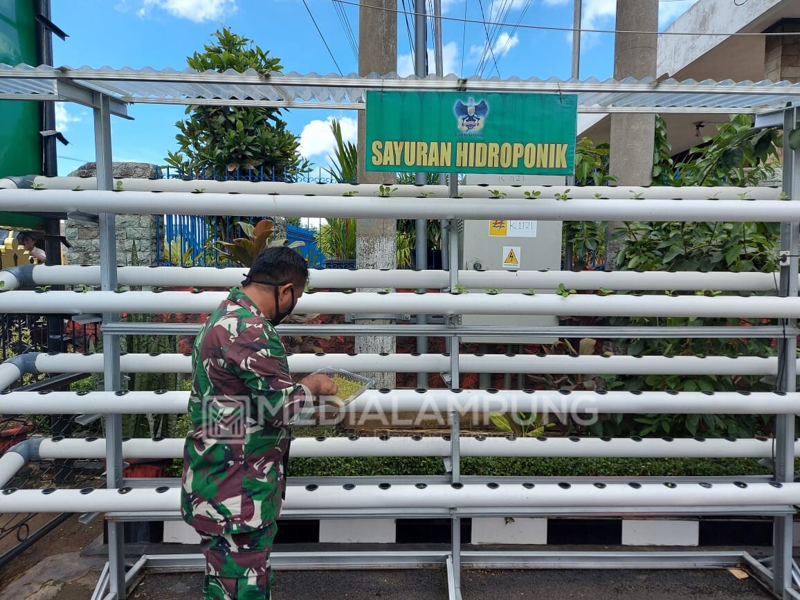 Sertu Yulius Tanam Sayuran Hidroponik di Makodim 0410