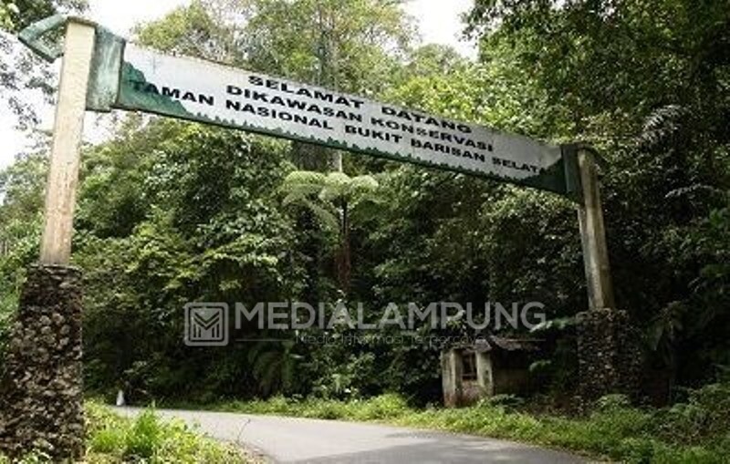 150 Anak di Belahan Dunia akan Ikuti Virtual Trip TNBBS Kubuperahu