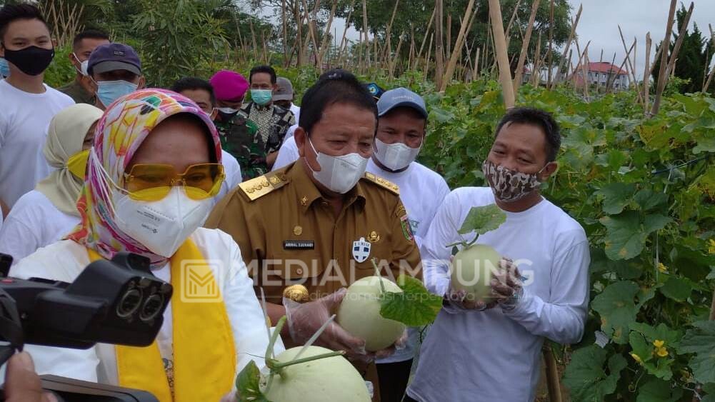 Gubernur Arinal Resmikan Agro Park PKK