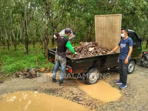 Jalan Rusak Parah, Karang Taruna Tanjung Sari Inisiatif Lakukan Perbaikan