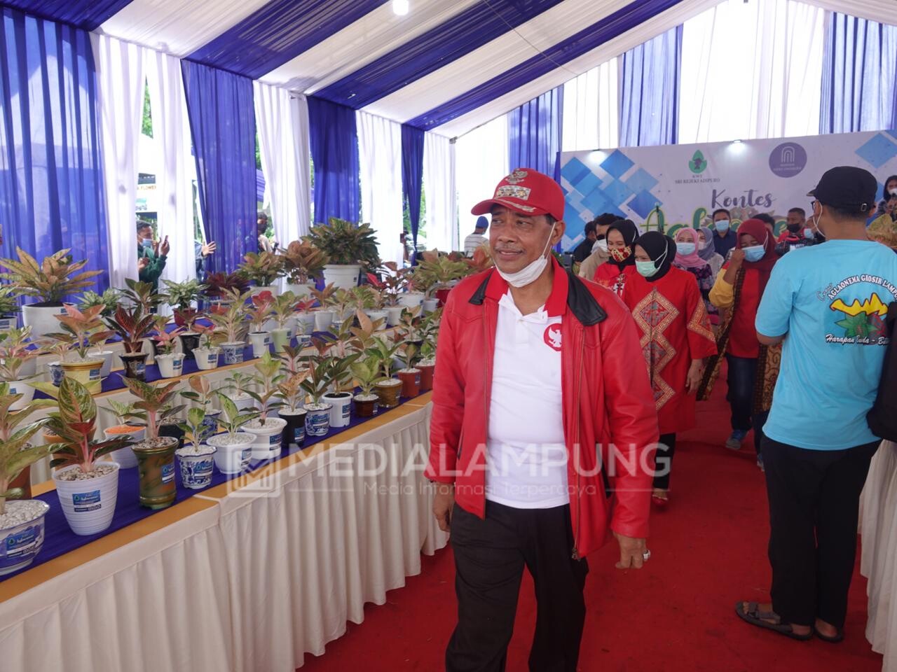 Bupati Loekman Buka Kontes Aglaonema