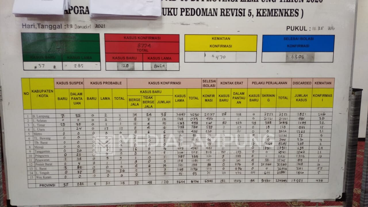 Positif Covid-19 di Lampung Total 8.774 Kasus