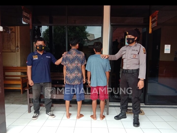 Tekab 308 Polres Pringsewu Ringkus Tersangka Curat Beserta Penadahnya