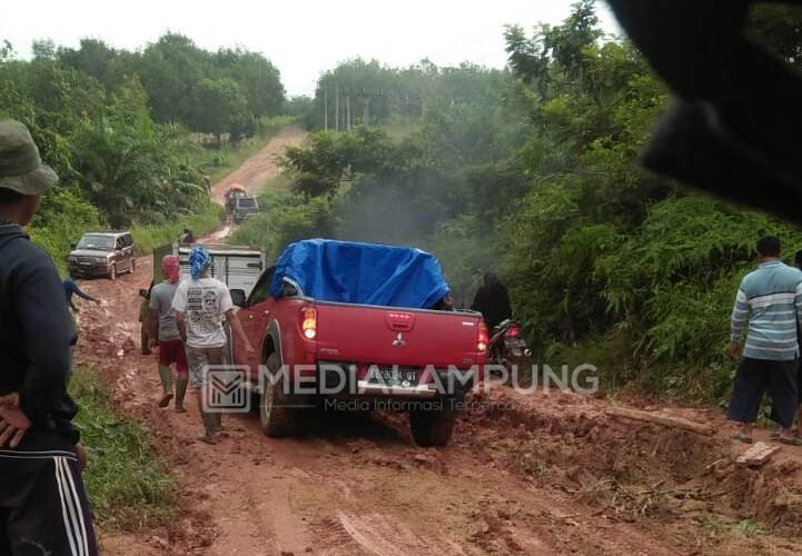 Jalan Rusak Parah, Warga Adijaya Harapkan Pemkab Waykanan Lakukan Perbaikan