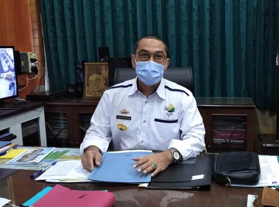 Tiga Kabupaten di Lampung Rawan Konflik Gajah Liar