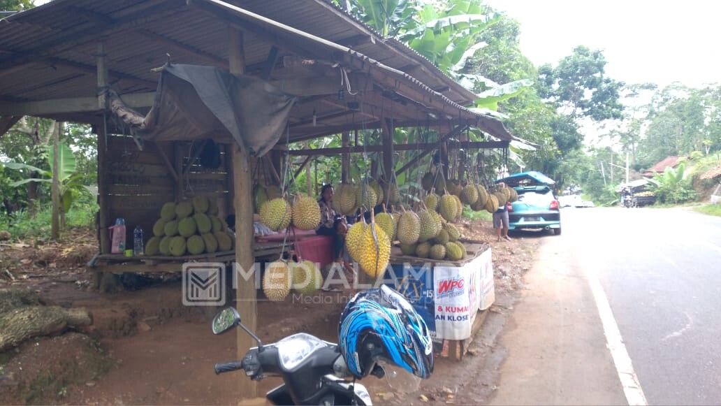 Begini Cara Memilih Buah Durian Agar Tidak Tertipu Penjual