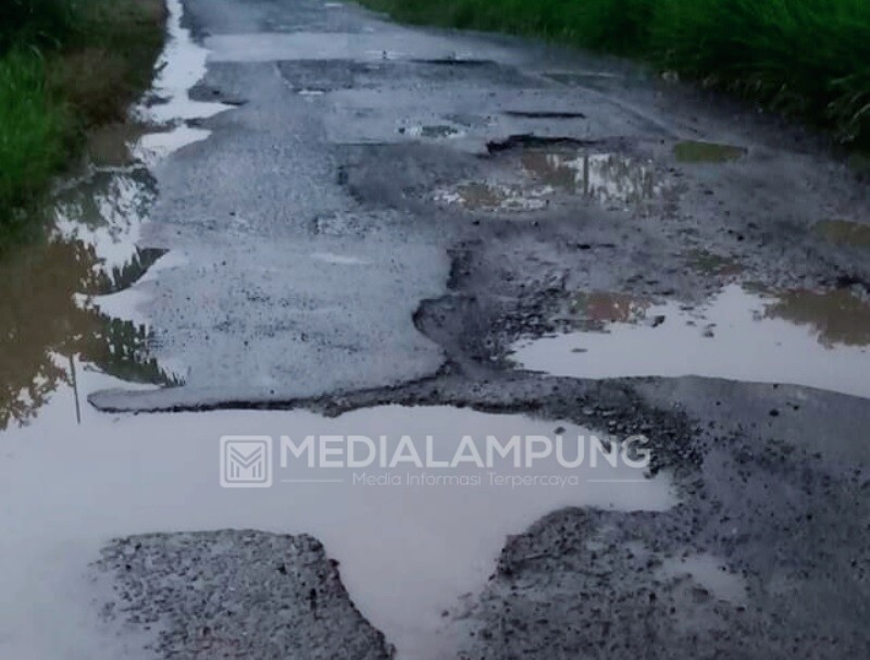 Warga Menjerit, Kondisi Jalan Poros Pekon Waspada Memprihatinkan