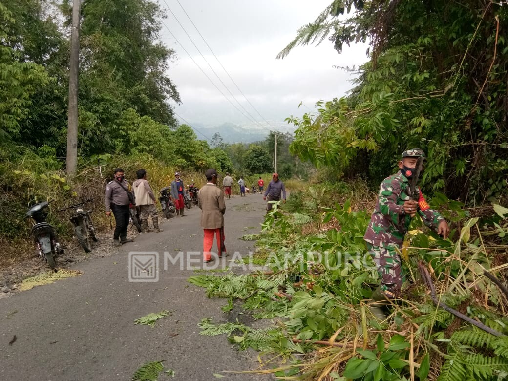 Camat Lumbokseminung Komandoi Gotong Royong Serentak di Seluruh Pekon