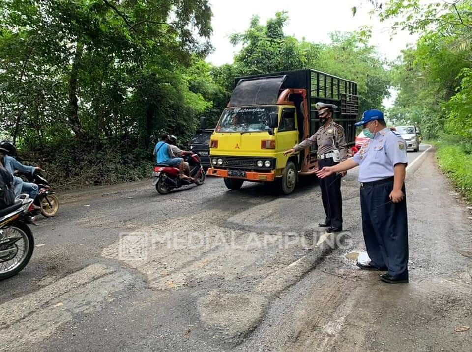 Cegah Lakalantas, Dishub dan Satlantas Lamteng Pasang Rambu Jalan Berlubang