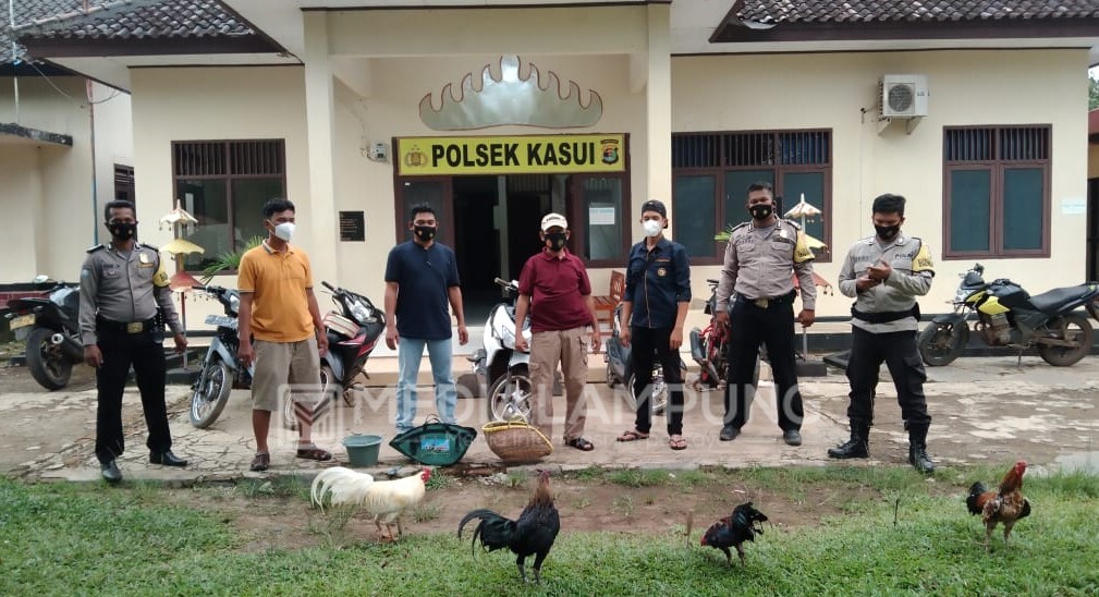 Ops Cempaka Krakatau 2021, Polsek Kasui Gerebek Judi Sabung Ayam 