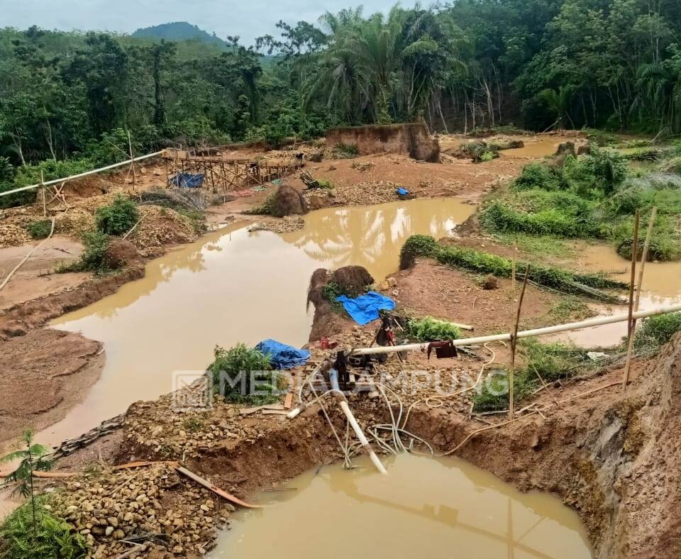 Pemilik Tambang Emas Ilegal Harus Ditangkap