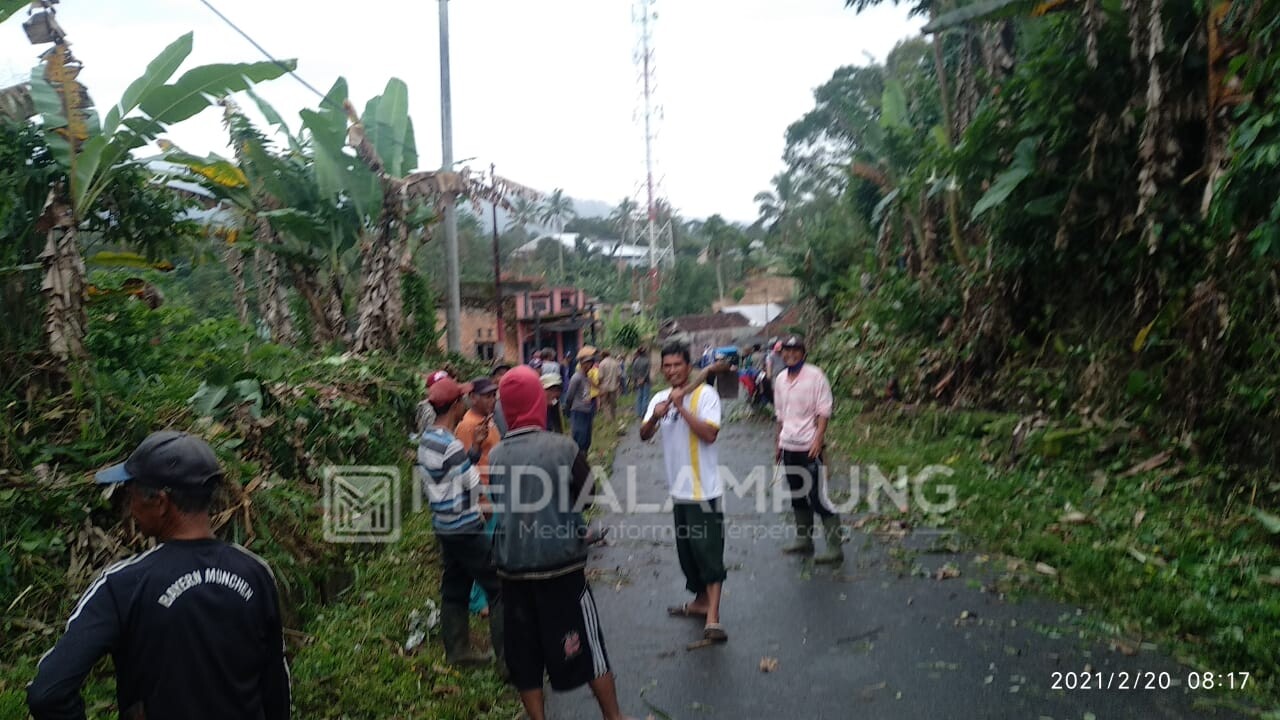 Warga Pekon Sukajaya Tata Jalan Kabupaten