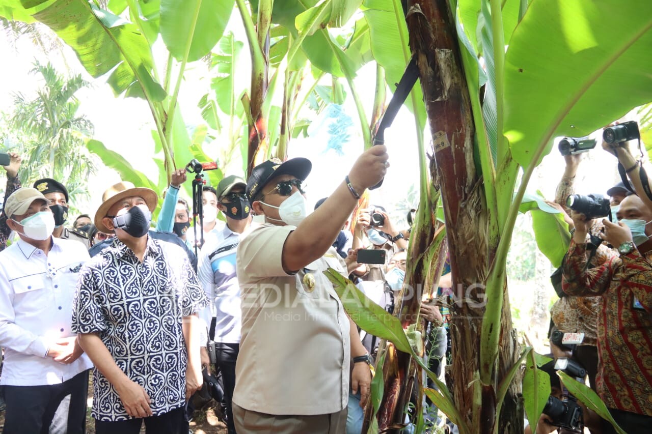 Gubernur Arinal Dampingi Kunjungan Kerja Dua Menteri di Tanggamus