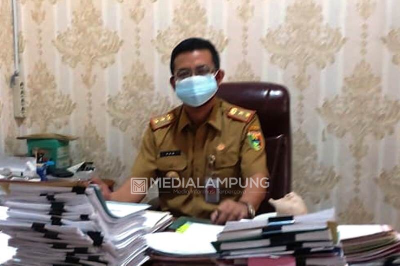 Pemkab Tanggamus Usulkan 1.385 Formasi CPNS