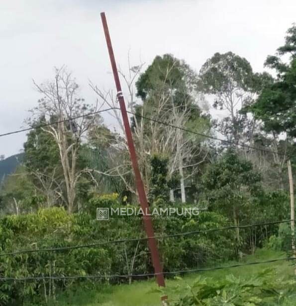 Warga Pemangku III Bedudu Keluhkan Daya Listrik PLN Rendah