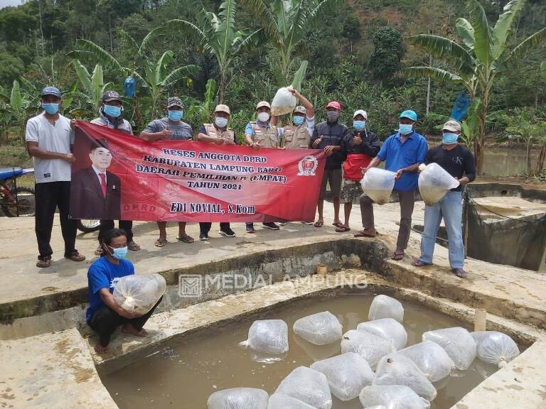 Reses di Muarajaya I, Bang Edi dan Rekan Tebar Bibit Ikan Nila Ganepo 